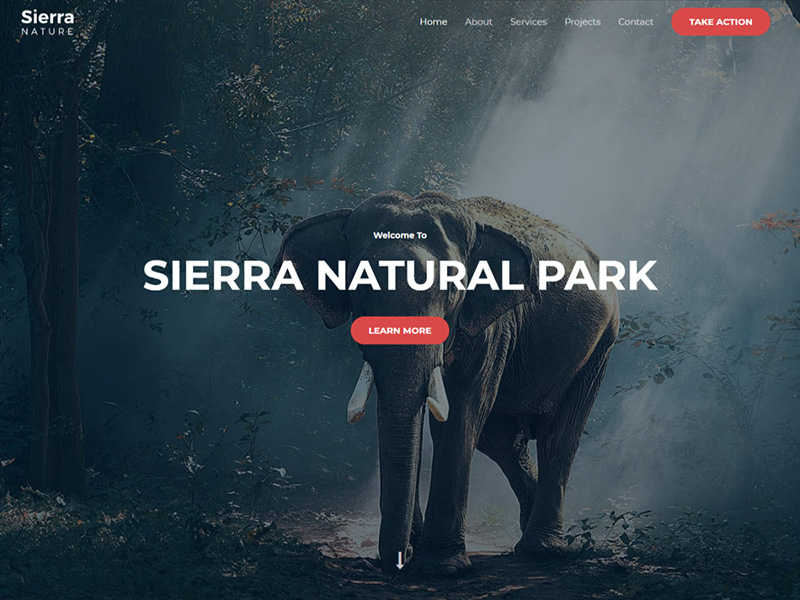 Sierra Nature – 鲜花园艺模板WordPress主题